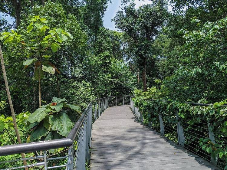 Singapore Botanic Gardens