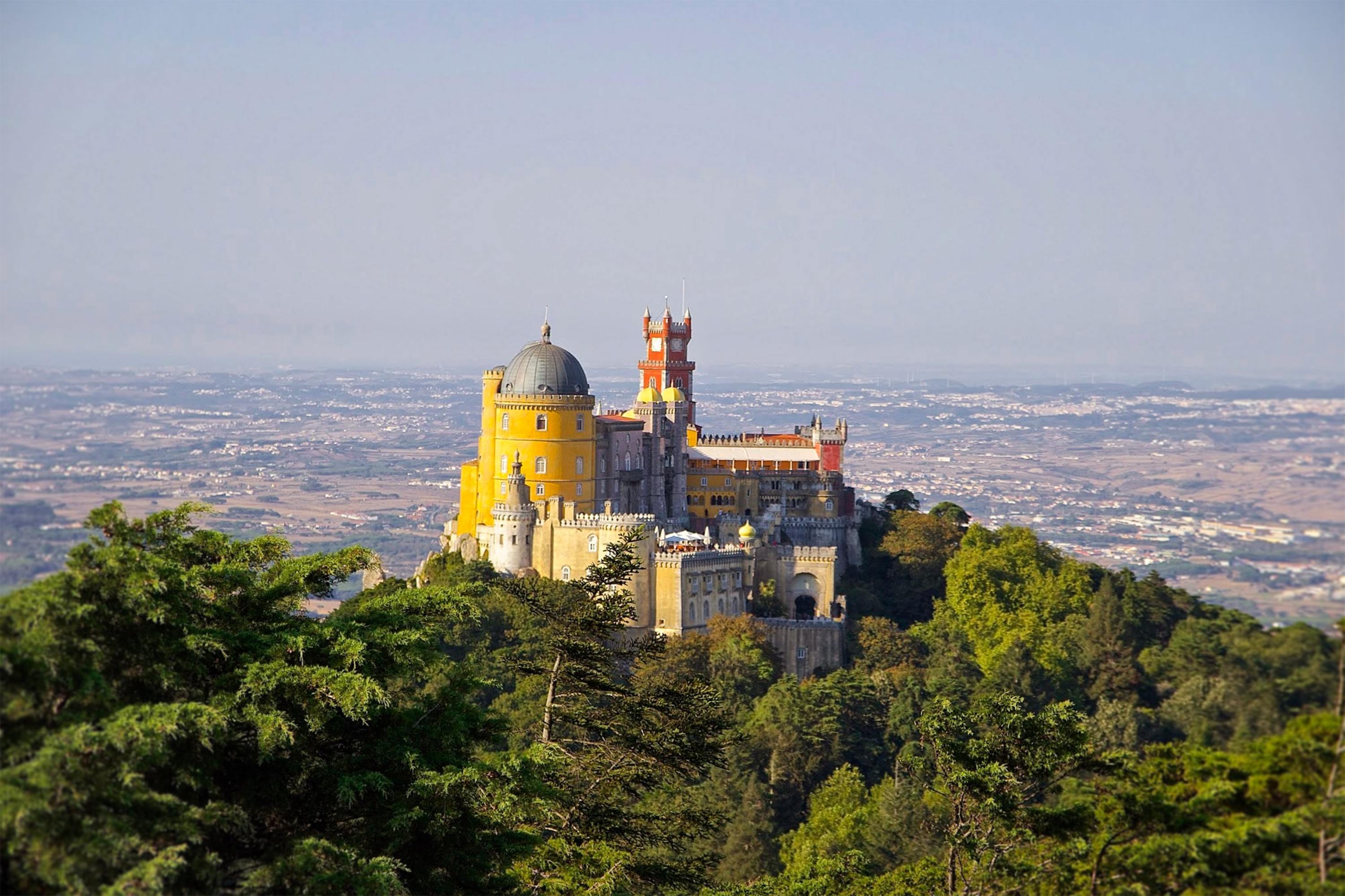 Dia da Árvore com 400 novas árvores em Sintra