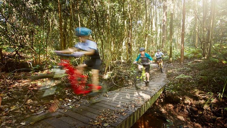 Get a taste of adrenaline with mountain biking in the forest 