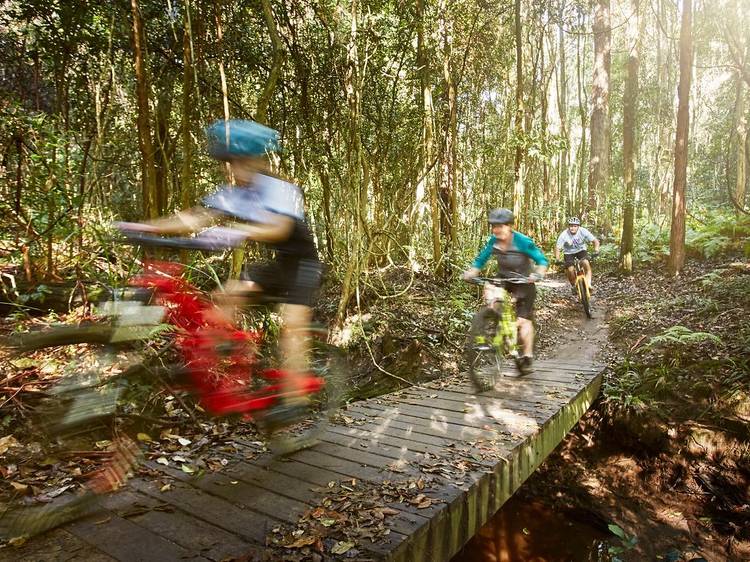 Get a taste of adrenaline with mountain biking in the forest 