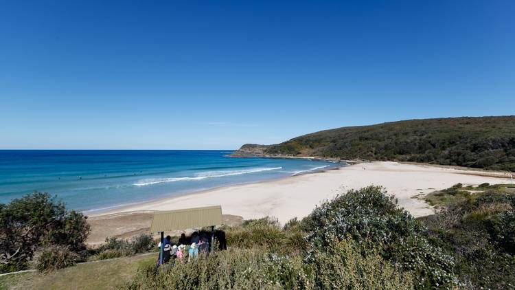Settle in for a picturesque picnic by lakeside, seaside or under a rainforest canopy