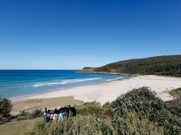 Settle in for a picturesque picnic by lakeside, seaside or under a rainforest canopy