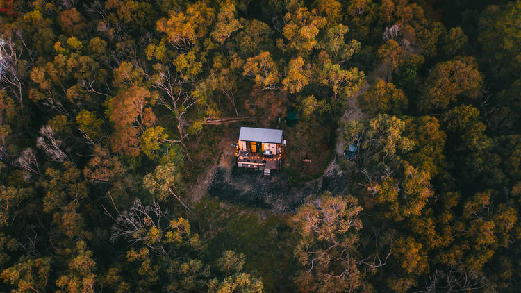 Aerial view of a Tiny Away tiny home surrounded by trees
