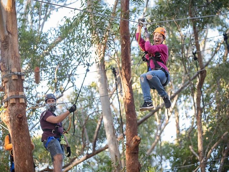 Zipline through the gum trees at Treetops Adventure Park