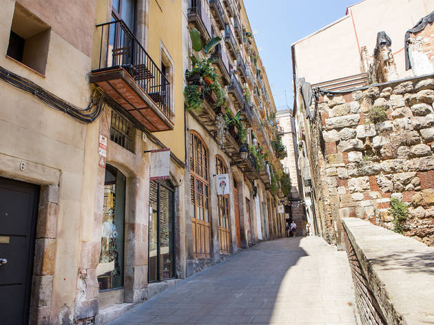 Baixada de Viladecols Baixada de Viladecols
