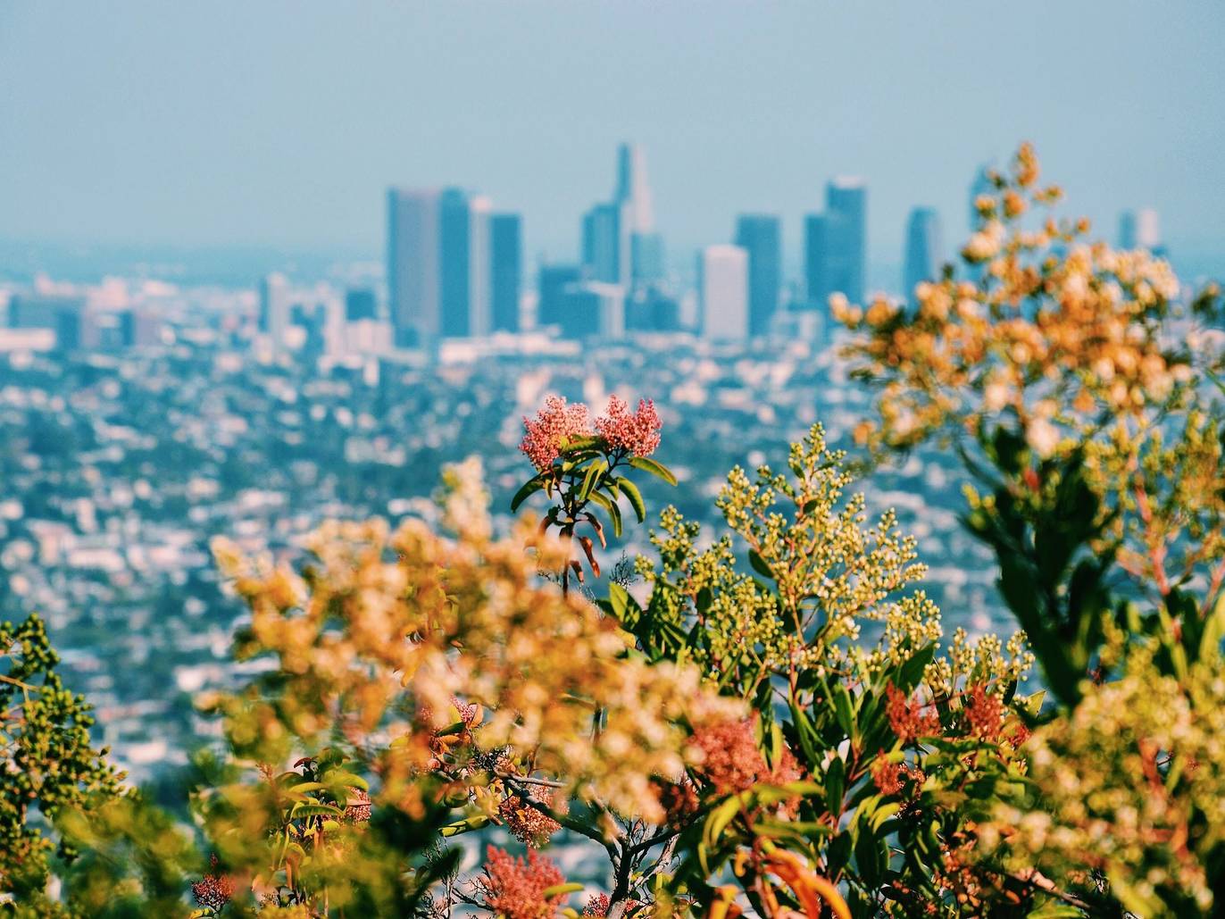 things-to-do-in-and-around-los-angeles-time-out-los-angeles