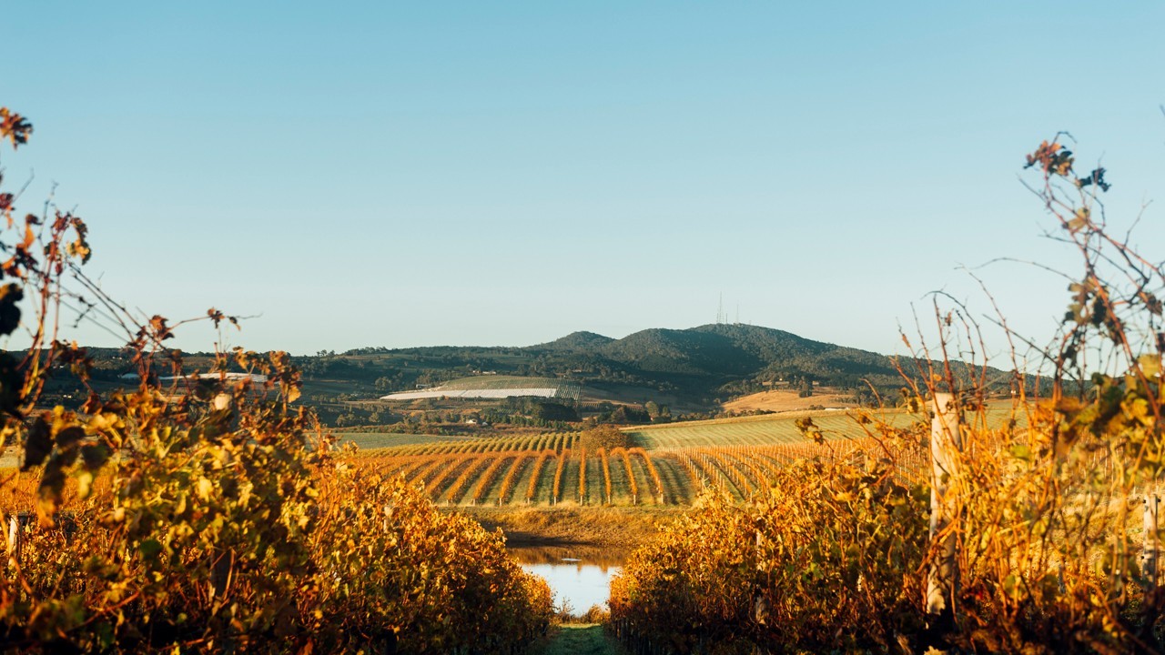 The best wineries in Orange