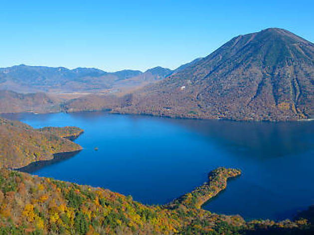 Photo: Hiro1775/Dreamstime