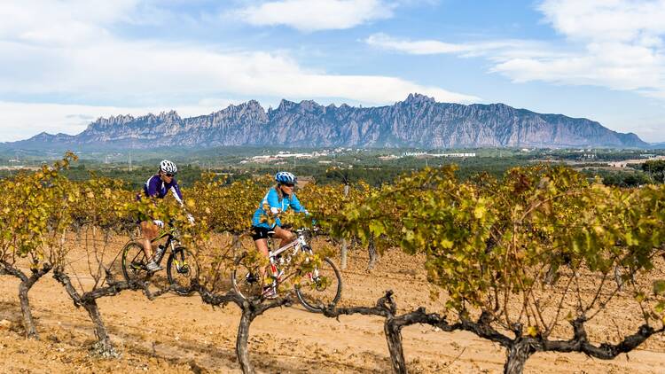 DO Penedès y DO Cava: la pasión de muchas generaciones