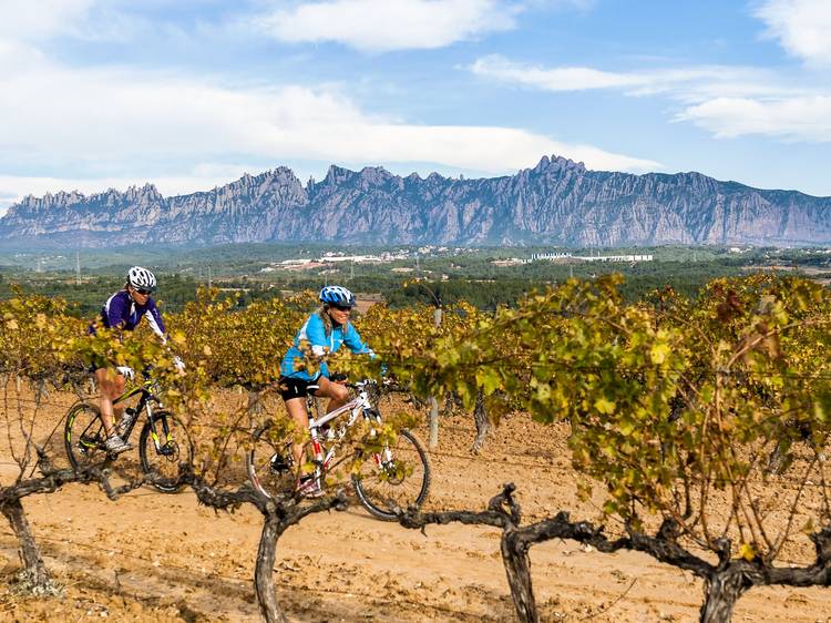 DO Penedès y DO Cava: la pasión de muchas generaciones