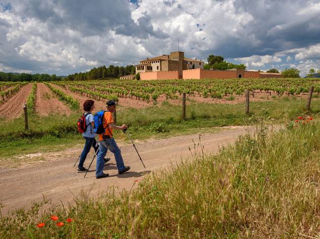 Denominació d'Origen Pla de Bages