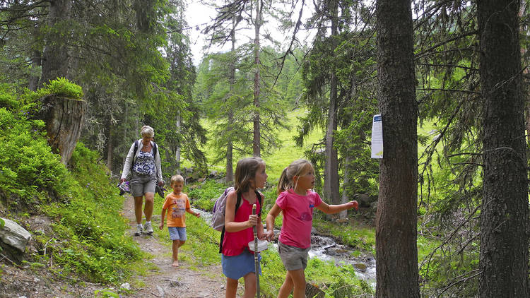 Valais, family activities. Barefoot Trail nature walk in the woods.