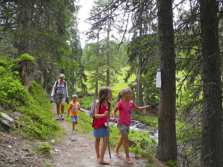 6 great family activities in Valais