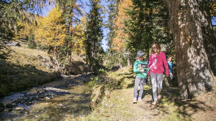 Barefoot Trail