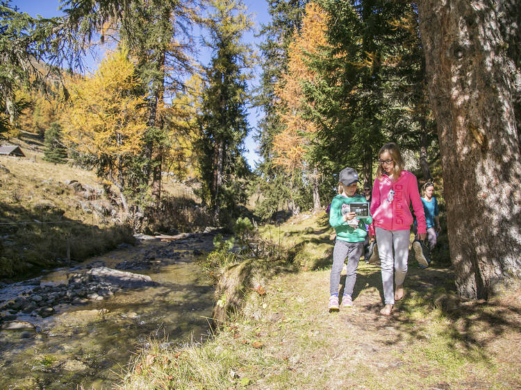 Barefoot Trail