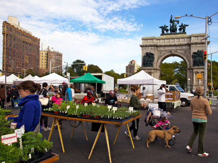 Grand Army Plaza has an incredible Greenmarket