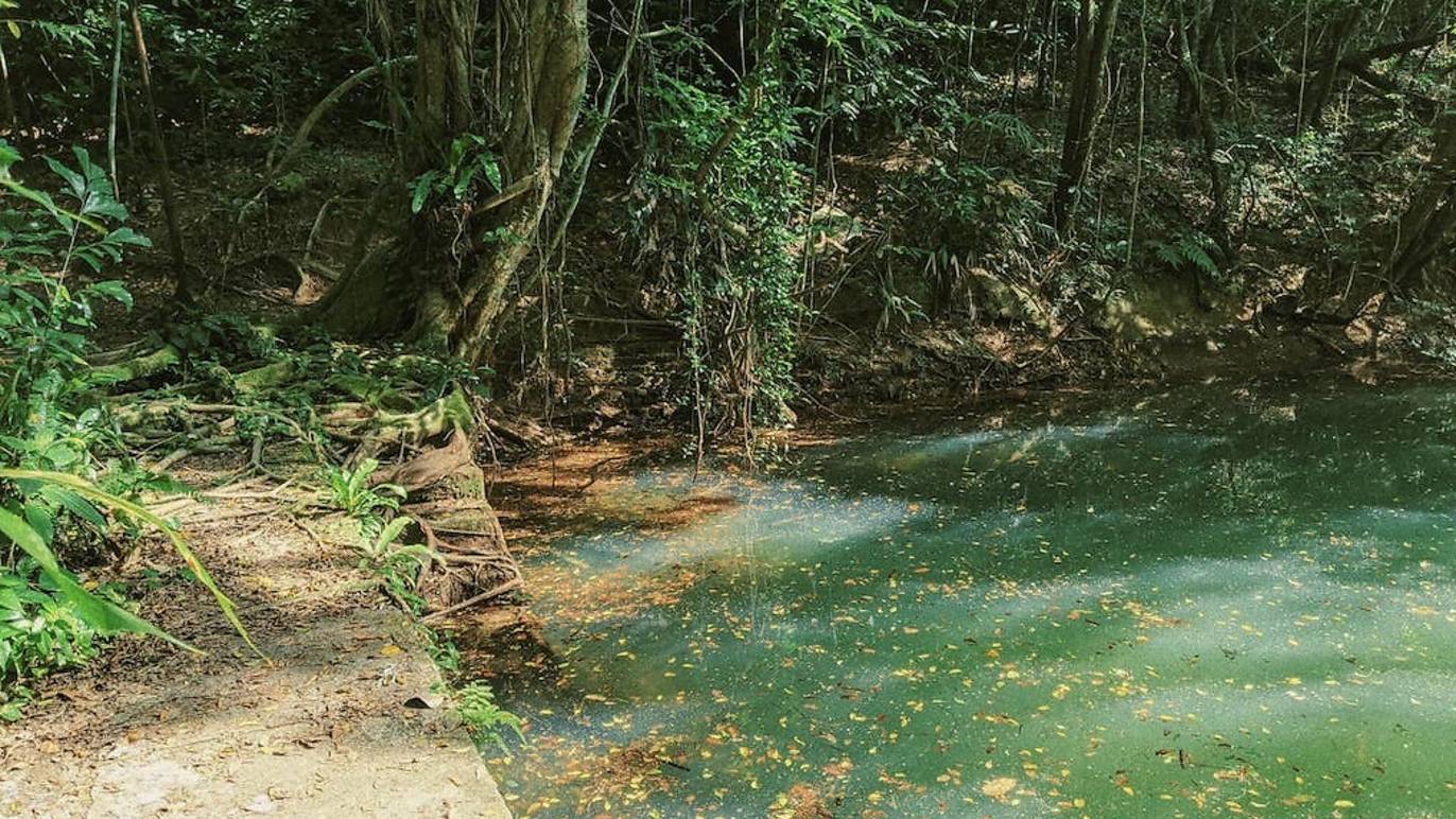 Guide To Keppel Hill Reservoir