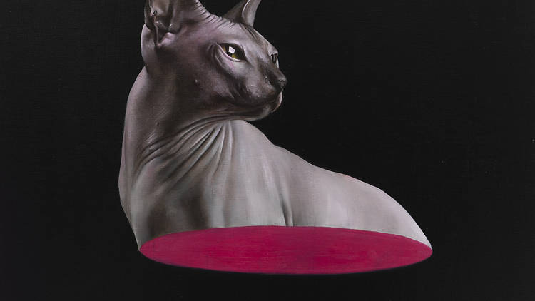 Surreal Sam Leach AI-assisted oil painting 'Half Cat'