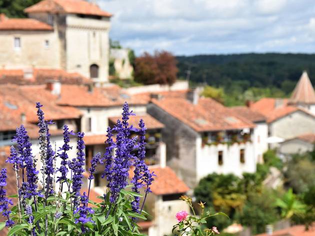 Aubeterre-sur-Dronne scenery with lavender Aubeterre-sur-Dronne scenery with lavender