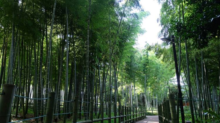 Suzume no Oyado Ryokuchi Park