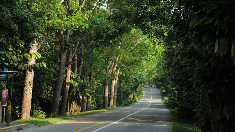 Lim Chu Kang Road