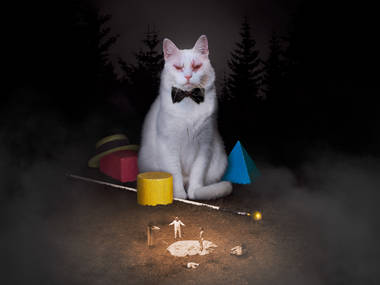 Koko-di Koko-da Koko-di Koko-da