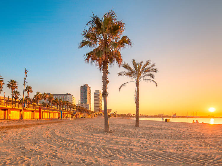 Platja del Somorrostro Barceloneta