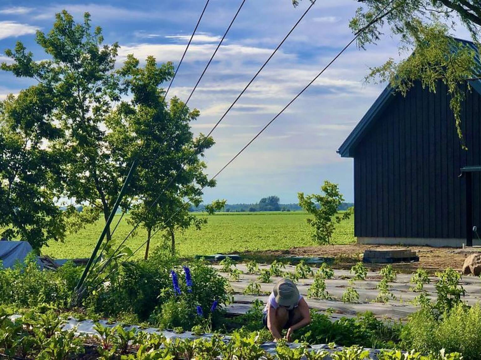 12 Best Farm To Table Restaurants Near Montreal To Eat In Season   Image 