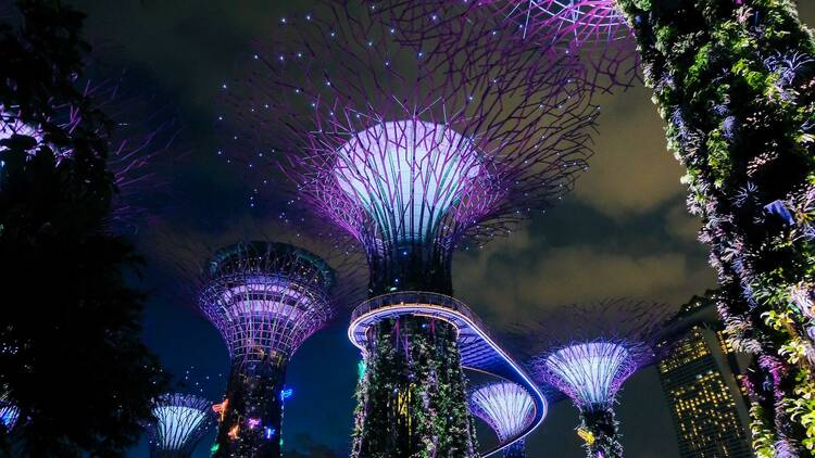 Marvel at the beauty of Gardens by the Bay