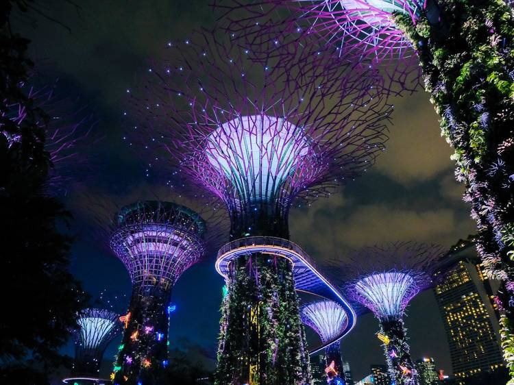 Marvel at the beauty of Gardens by the Bay