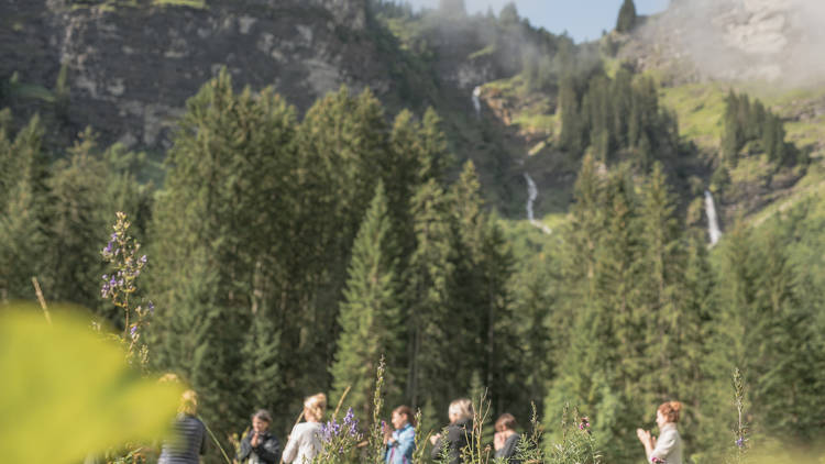 Learn how to really get back to nature