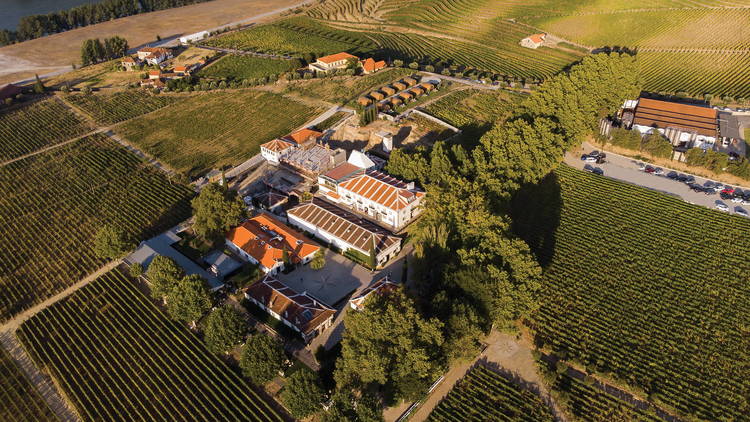 Quinta da Pacheca