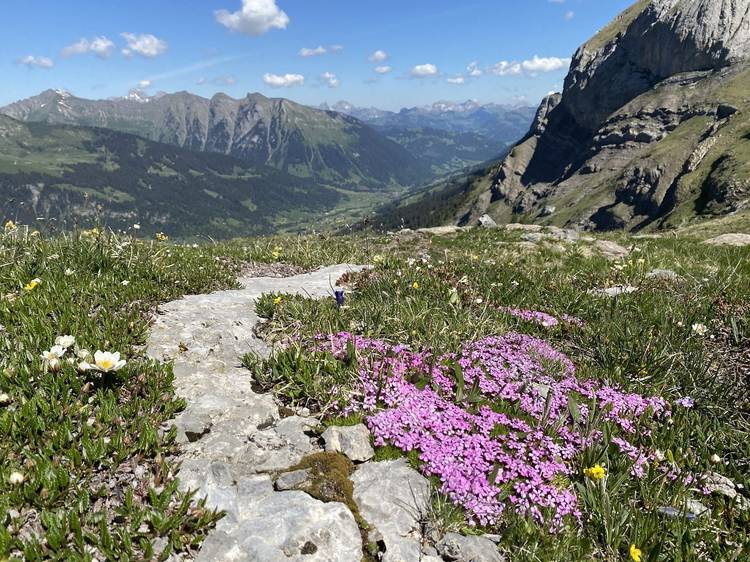 Hikes and herbs