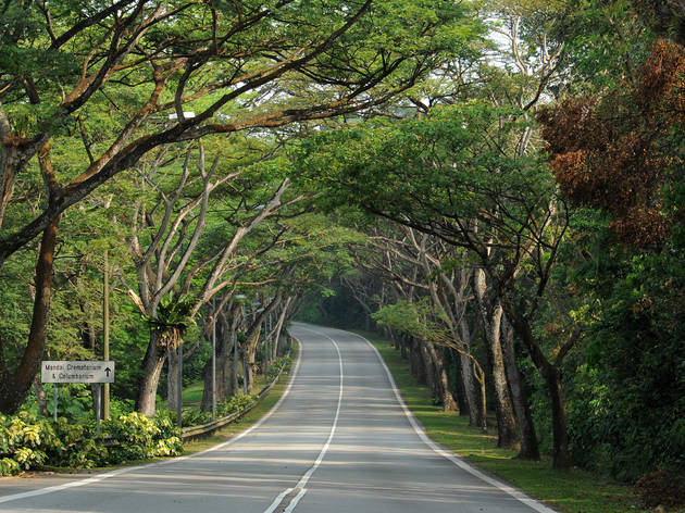 Mandai Road Mandai Road