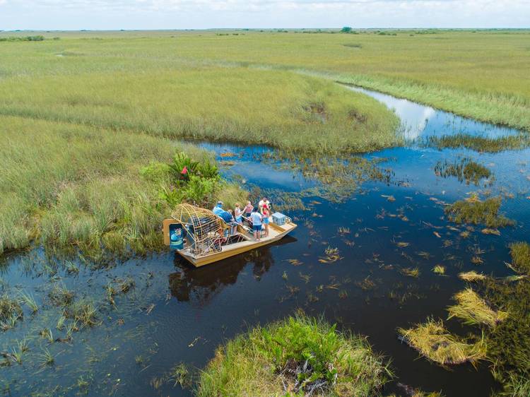 Hop on a boat tour of Everglades National Park