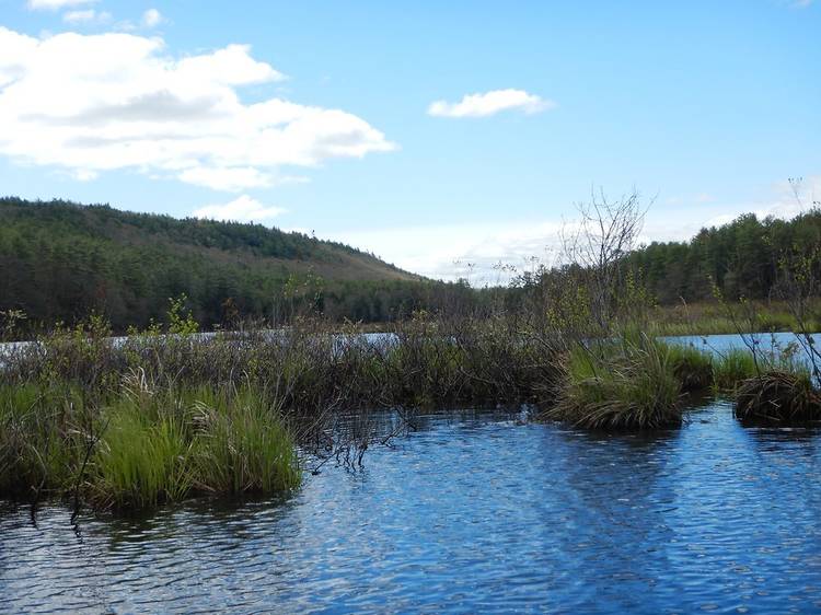 Tully Lake Campground in Royalston, MA