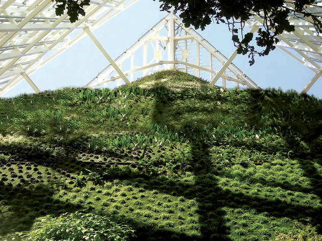 Jardín vertical Torre de Cristal Jardín vertical Torre de Cristal