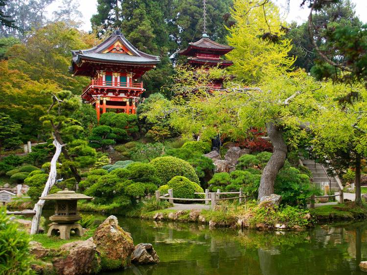 Japanese Tea Garden