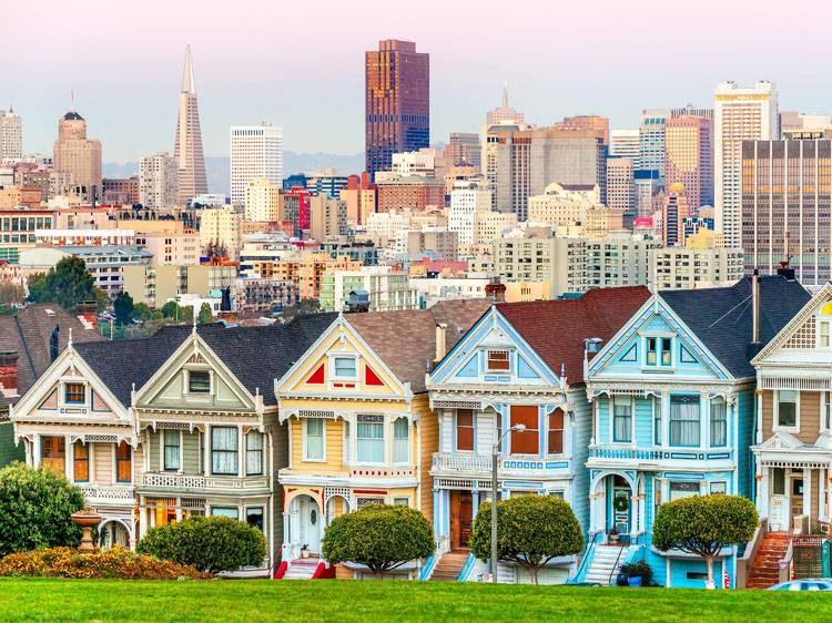 The Painted Ladies