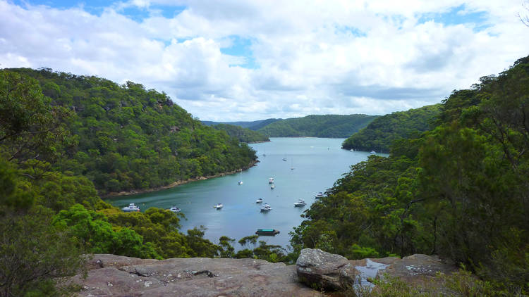 America Bay Falls, Ku-Ring-Gai Chase National Park