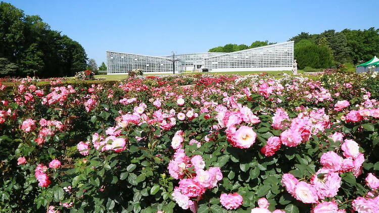 深大寺と神代植物公園