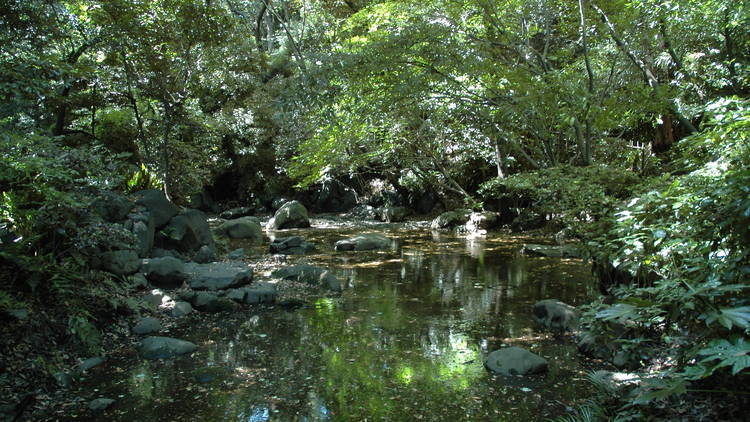 名主の滝公園