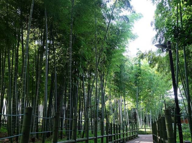 すずめのお宿緑地公園