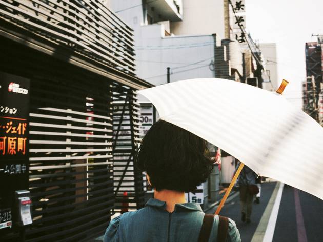 Japan summer umbrella Japan summer umbrella