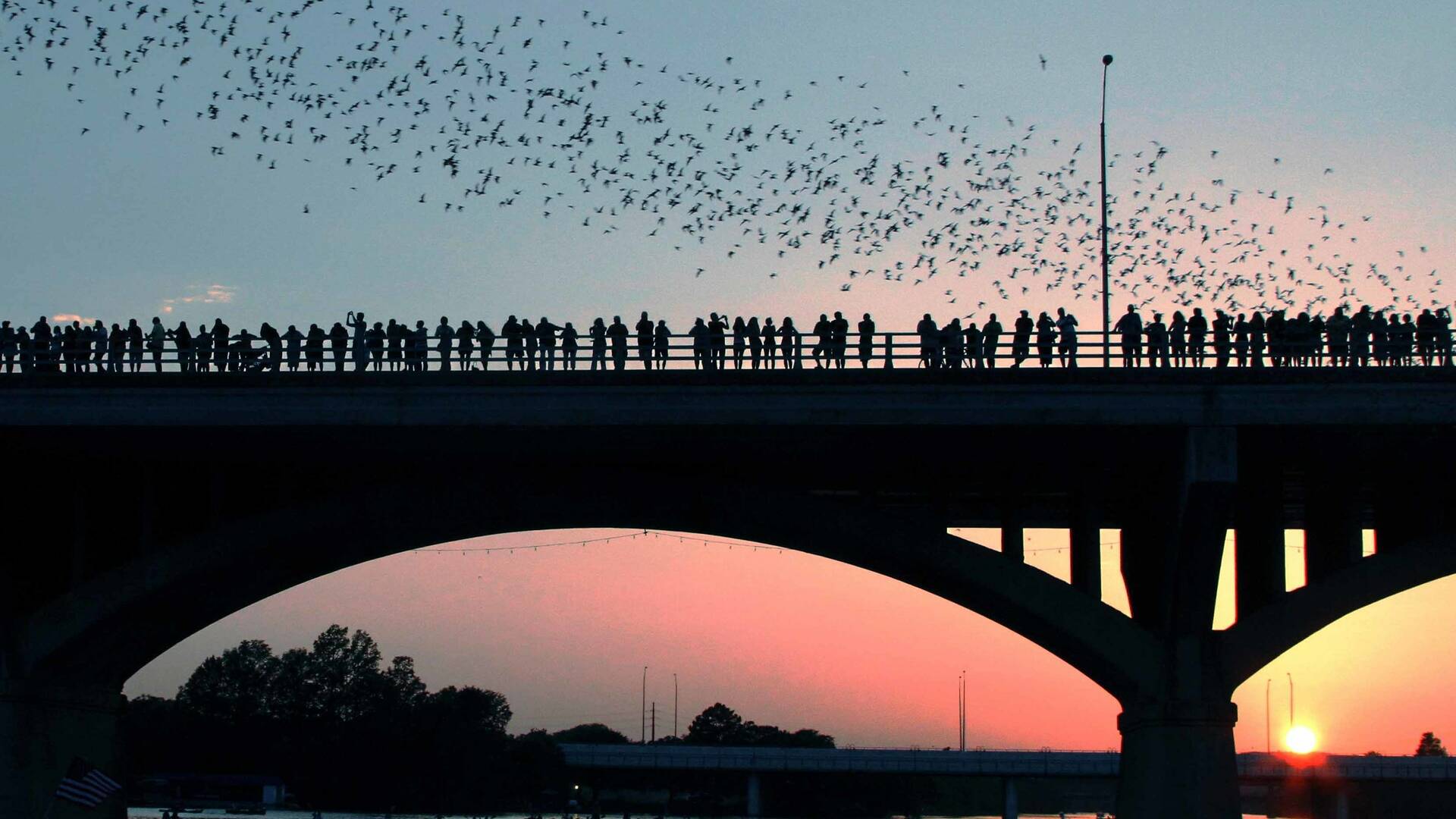 10 Best Things To Do In Austin In The Summer