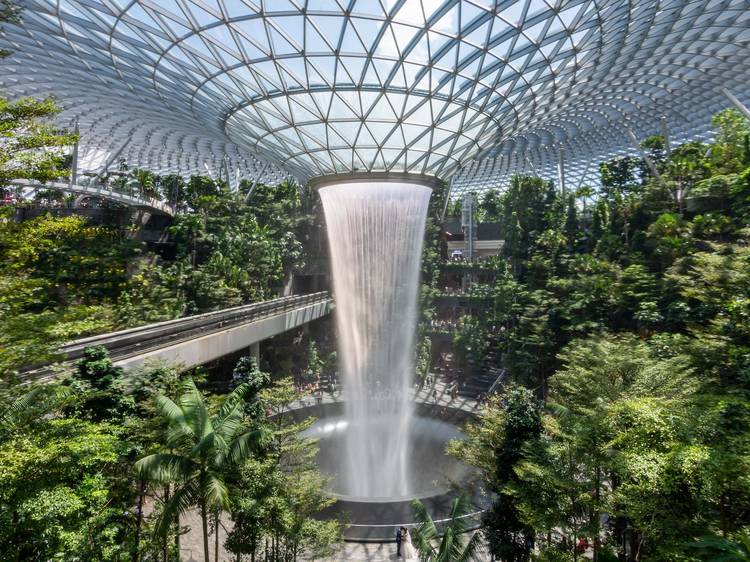 Admire the world’s tallest indoor waterfall at Jewel Changi Airport