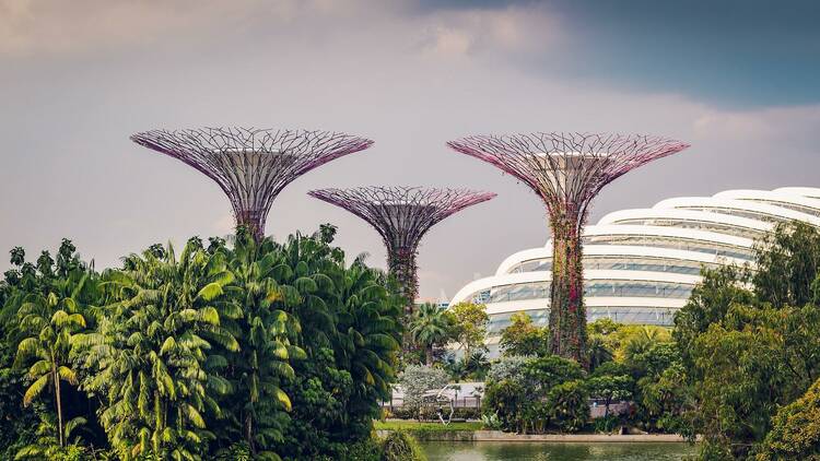 Wander around at Gardens by the Bay
