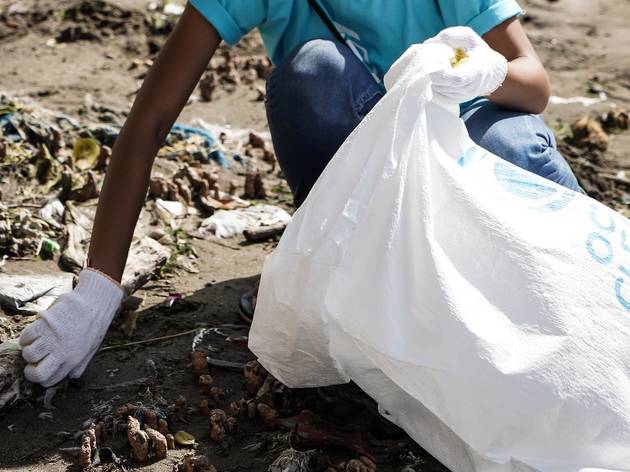 beach clean up beach clean up