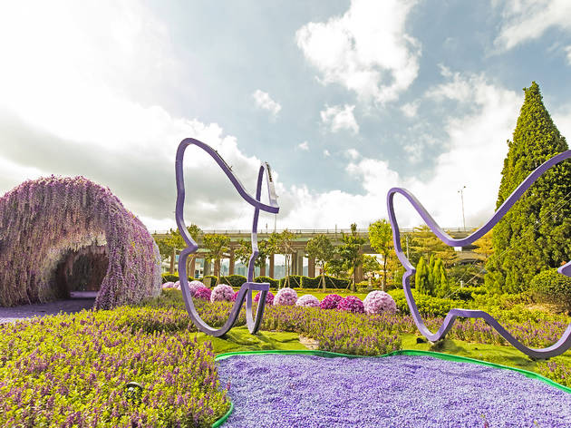 打卡好去處 北角匯 紫 在北角匯 花夏祭打造3 000呎紫色花海