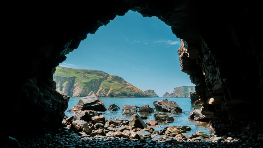 Photograph: Shutterstock